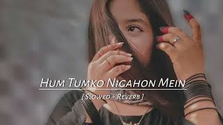 Hum tumko nigahon mein  Slowed  Reverb  Hindi song [upl. by Iatnohs]