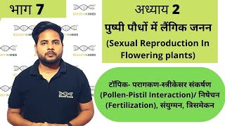 अध्याय 2 भाग 7 पुष्पी पौधों में लैंगिक जनन  जीव विज्ञान कक्षा 12  Sexual repro in flowering plant [upl. by Drofyar865]