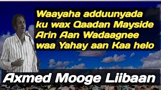 waayaha aduunyada axmed mooge  waayaha aduunyada hees  waayaha aduunyada ku wax qaadan mayside [upl. by Meridith]