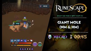 Giant Mole NM amp HM Necromancy  RuneScape Mobile PVM [upl. by Nneb]