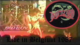 Bad Lizard – Live in Belgium 1987 Full Concert [upl. by Laucsap999]