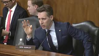 Senator Hawley Questions Energy Exec on Grid Components Made In China [upl. by Hadlee]