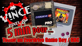 5 min pour tester un Everdrive Game Boy  Game Boy Color [upl. by Nitsrek]