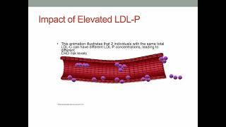 Finks 5 Assessing Lipids 82024 [upl. by Beuthel]