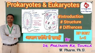 Introduction to Prokaryotes amp Eukaryotes  Differences in Prokaryotic amp Eukaryotic CellsBP 303T L2 [upl. by Phio879]