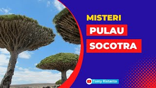 SOCOTRA  MISTERI DAN KEINDAHAN PULAU TERPENCIL DI SAMUDERA HINDIA YAMAN SOCOTRA ISLAND YEMEN [upl. by Aeuhsoj]