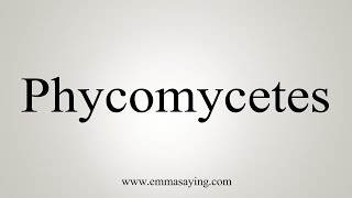 How To Say Phycomycetes [upl. by Annairam22]