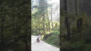 Lean in Forest On Mt15 🔥😍❤️shortsfeed mt15 viral explorepage bikelover surenderkhannavlogs [upl. by Rotman162]