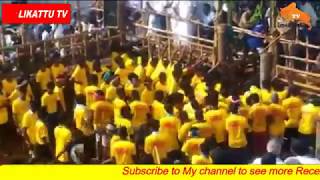 Thachankurichi jallikattu 2018 [upl. by Enialb]