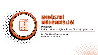 Endüstri Mühendisliği Bölümü  Demo Ders Endüstri Mühendisliğinde Sistem Dinamiği Uygulamaları [upl. by Inus]