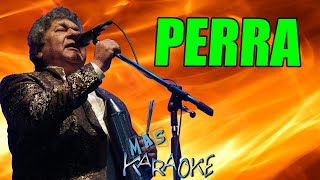 PERRA 💚 Los Palmeras  KARAOKE maskaraoke cumbia [upl. by Anrahc]