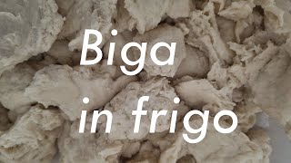 Biga Fredda Come gestire la biga a freddo in frigo Impasto a mano biga [upl. by Nnuahs]