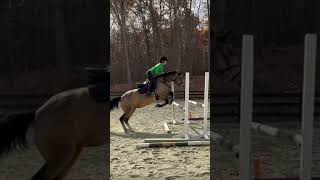 No stirrups November anybody val valenciadralium eventing [upl. by Shaefer]