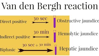 Van Den Berghs Reaction How to detect types of jaundice  Direct vs Indirect vs Biphasic [upl. by Orlov]