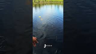 INSANE MOMENT 🤯 PIKE EATS PIKE [upl. by Cristina94]