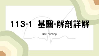 Rex Nursing l 護理日記 1281 1131 基醫 解剖詳解 1132月護理師國考 [upl. by Cohligan894]