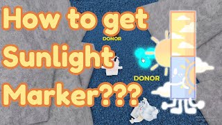 How To Get SUNLIGHT MARKER NEW in Find The Markers Roblox 2024 [upl. by Falcone]