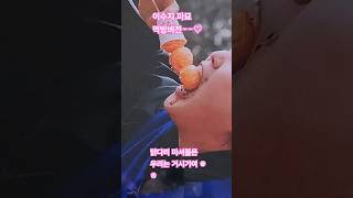 이수지 파묘버전 닭다리 마셔블믄 거시기여 ♡ snl 쿠팡플레이 이수지 파묘 유머 김고은 [upl. by Ellga]