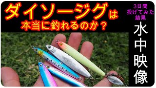 ダイソージグ ジグロックで釣りしてみたら。。。 ブレードカスタム 水中映像【ダイソー釣具】ライトショアジギング [upl. by Emmi153]