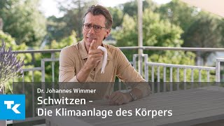 Schwitzen  Die Klimaanlage des Körpers I Dr Johannes Wimmer [upl. by Kosse428]