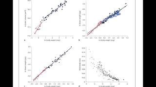 The Allometry of brain miniaturization in ants [upl. by Esenej]