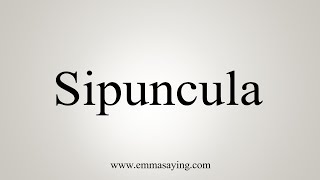 How To Say Sipuncula [upl. by Edrock]