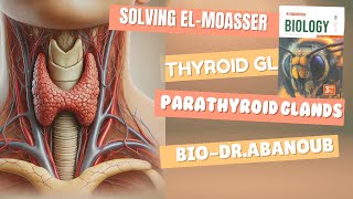 Solving El Moasser Questions on Thyroid and parathyroid glands  Biology  Senior 3 Grade 12 [upl. by Valaree]