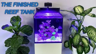 How to Setup a Reef Tank  Part 5 Hardy Beginner Fish amp Cycling [upl. by Ellenuahs]