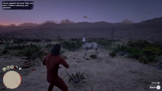 Red Dead Redemption 2 Horseman 10 Challenge  Nokota [upl. by Nidnerb]