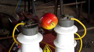 Der Elektroapfel  Electric Apple  20000Volts [upl. by Acilgna]