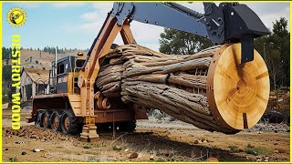 Extreme Dangerous Logging Operations  Biggest Forestry Equipment Machines 13 [upl. by Nomzzaj]