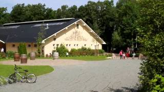 Campingpark Kühlungsborn  Stellplätze im BR Bereich und Poseidons Reich [upl. by Frasco]