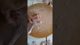 Skills debone chickencuttingchicken cuttingskills butcher knifeskills shortvideo [upl. by Kcirdde]