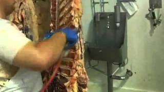 IBEX Trimming Systems  Beef Feather Bone Removal [upl. by Eirrab]