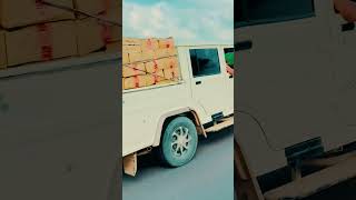 Yo Rohtak Se 2  amitsainirohtakiya  tijaravines  thekedar car  Haryanvi Song Download 🎵 [upl. by Amre17]