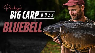 Pecky’s Big Carp Buzz  Bluebell Lakes Day Ticket Fishing  Korda 2021 [upl. by Garber]