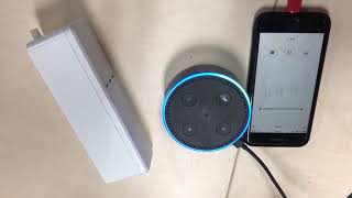 Zemismart Smart Tuya Blind Voice Control With Alexa [upl. by Carrie]