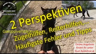 F103 Reiterperspektive Zügeleinwirkung am Pferd Reiterhilfen Verstärkungen Übergänge Reiterfehler [upl. by Hsirap]