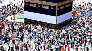 HD Hajj Makkah Live 🔴  3 June 2024  Masjid al haram  Live Today Now [upl. by Duwalt]