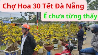 Chợ Hoa 30 Tết Đà Nẵng Ế Ẩm chưa từng thấy Chủ vườn mang 300 chậu bán chỉ được 10 chậu [upl. by Etnoled]