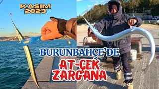 BURUNBAHÇEDE YEMLİ ATÇEK ZARGANA AVI fishing balıkavı zargana [upl. by Anali]