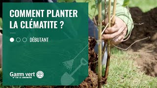 TUTO Comment planter la clématite  – Jardinerie Gamm vert [upl. by Anoiek]