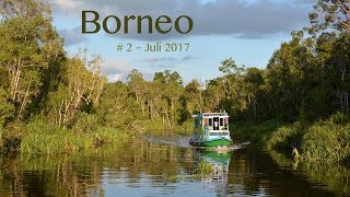 House boatTour in the jungle of Borneo  Kalimantan  Indonesia [upl. by Amitie]