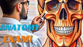 Anatomy mid term examspring 2024shifa university islamabad [upl. by Nairim436]