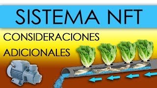 HIDROPONÍA  SISTEMA NFT EN LECHUGAS Nutrient Film Technique [upl. by Dee Dee853]