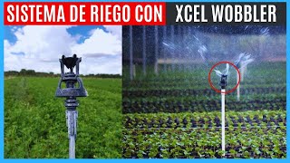 SISTEMA DE RIEGO POR ASPERSIÓN CON XCEL WOBBLER DE RIEGO💧🌿 [upl. by Marijo]