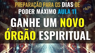 🔴 Ganhe um Novo Órgão Espiritual  Preparação amp Shofár Rosh HaShaná 2024 Parte 11 de 18 [upl. by Prue]