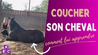 ⭐Comment apprendre à son cheval à se coucher ⭐ [upl. by Leahcimnoj]