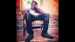 Mavado  Mama Work Wallabeez Riddim [upl. by Amle237]