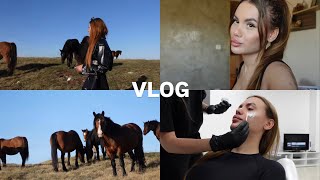 Nedeljni Vlog  Drugi deo  Drama sa divljim konjima Fileri i jos iznenadjenja 🤗 [upl. by Bette]